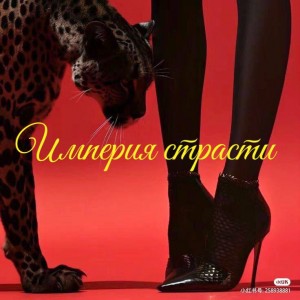 IMAGE 2026-02-13 21:00:33